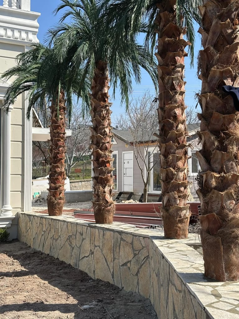 Peyzaj alanında doğal taş kaplı duvar yüzeyi